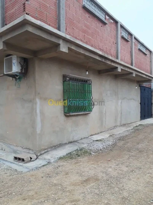 Vente Immeuble Chlef Ouled fares