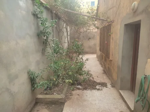 Vente bien immobilier Tipaza Bou ismail