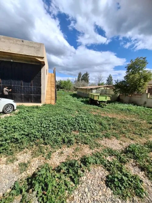 Vente Terrain Agricole Aïn Defla Ain soltane