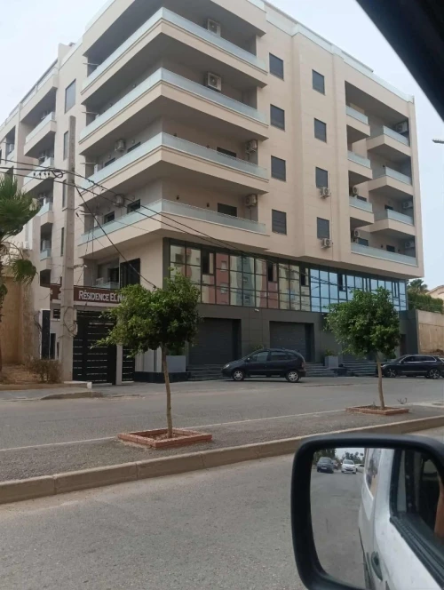 Travaux Monocouche Façade et Plâtre Projeté en Algérie