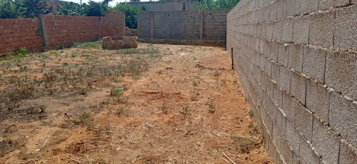 Vente Terrain Mostaganem Achaacha
