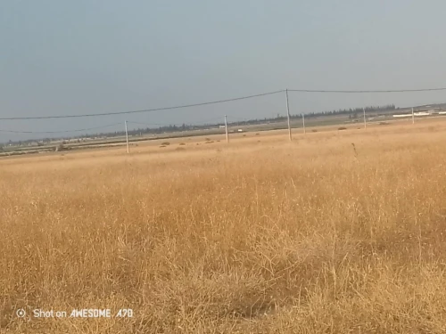 Vente Terrain Agricole Khenchela Remila
