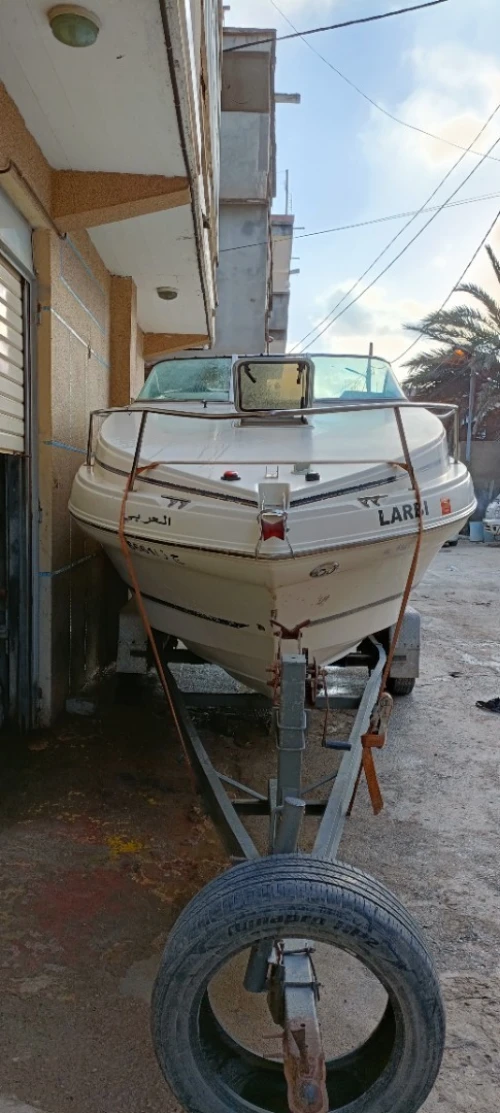 Horboar RINKER V8 2001