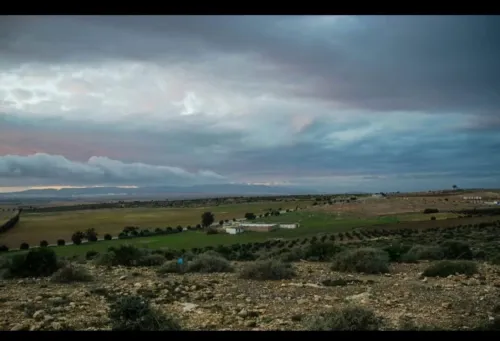 Vente Terrain Agricole Oran Gdyel