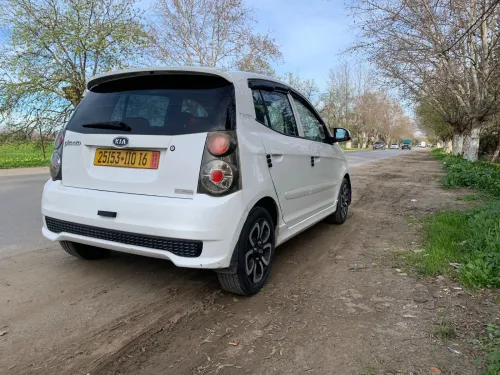 Kia Picanto 2010 Fani