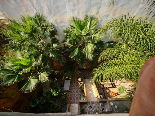 Vente Villa Alger El achour