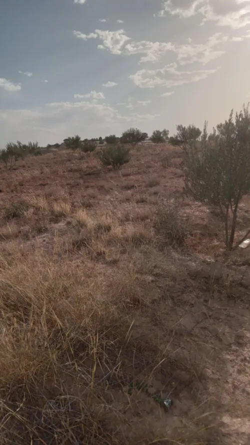 Vente Terrain Agricole Bouira Ahl el ksar