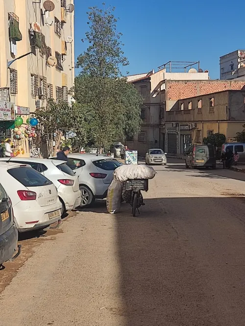 Location Local Mostaganem Mostaganem