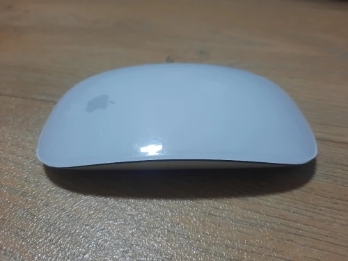 Magic mouse 2