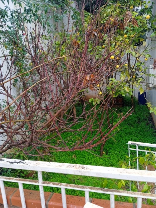 Vente Villa Alger Ouled fayet