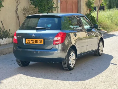 Skoda Fabia 2014 Visage