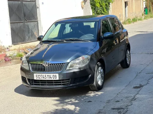 Skoda Fabia 2014 Visage