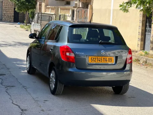 Skoda Fabia 2014 Visage