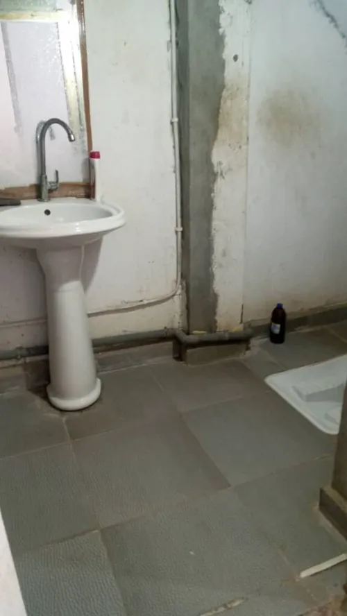 Vente Villa Alger Les eucalyptus