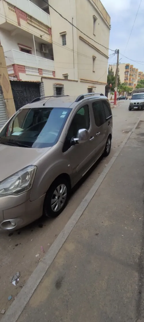 Citroen Berlingo Multispace 2009 Berlingo Multispace