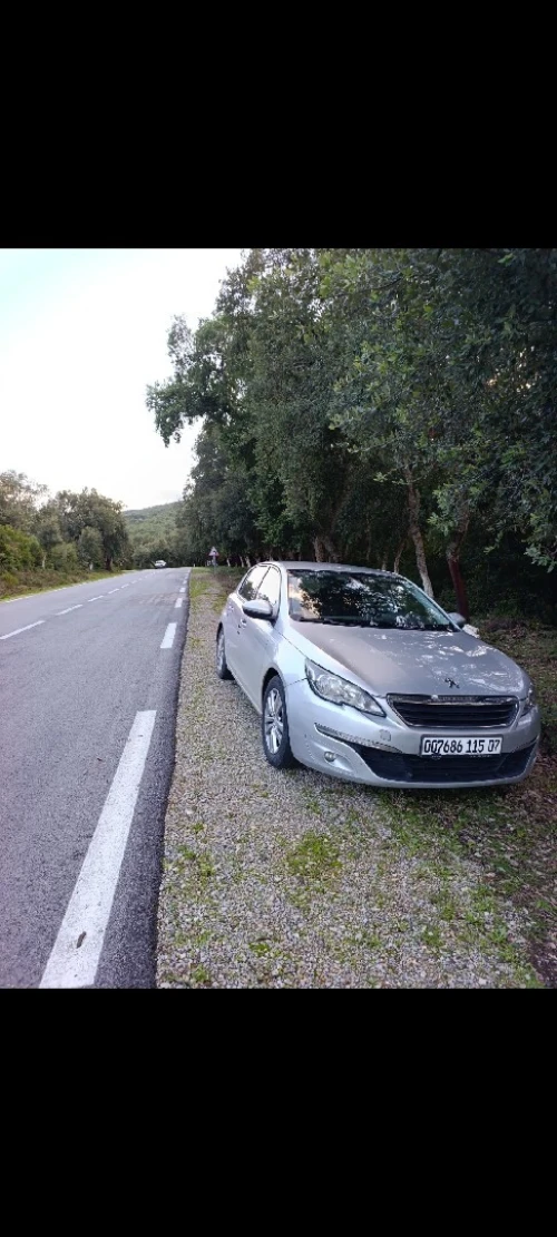 Peugeot 308 2015 Active