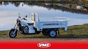 vms 12 2025