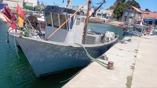 Bateau de pêche Espadonier en polyester 