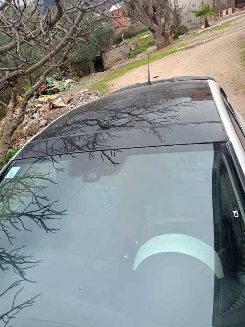 Seat Ibiza 2012 Loca