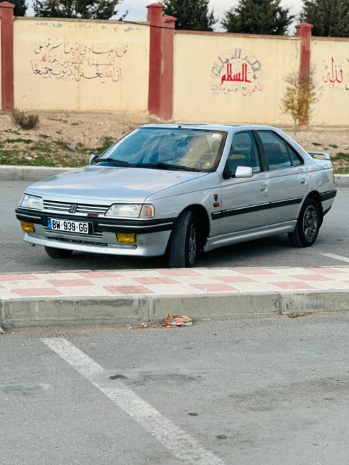 Peugeot 405 1993 405