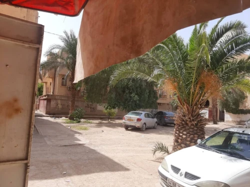 Location Local Biskra Biskra