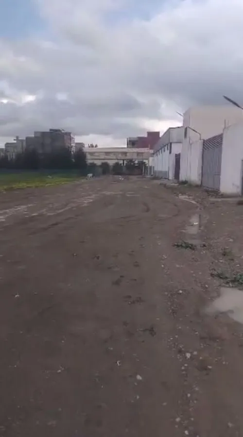 Location Terrain Blida Chebli