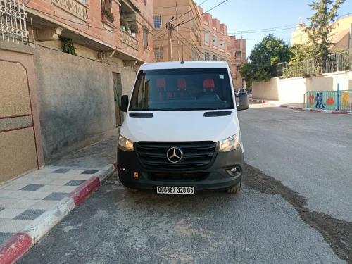Mercedes Sprinter 2020 Caniche