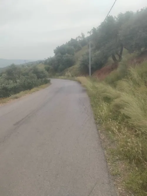 Vente Terrain Béjaïa Akbou