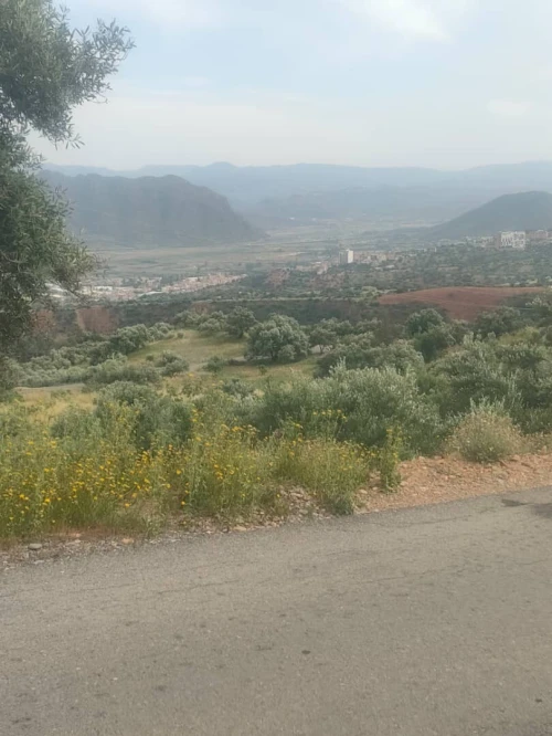 Vente Terrain Béjaïa Akbou