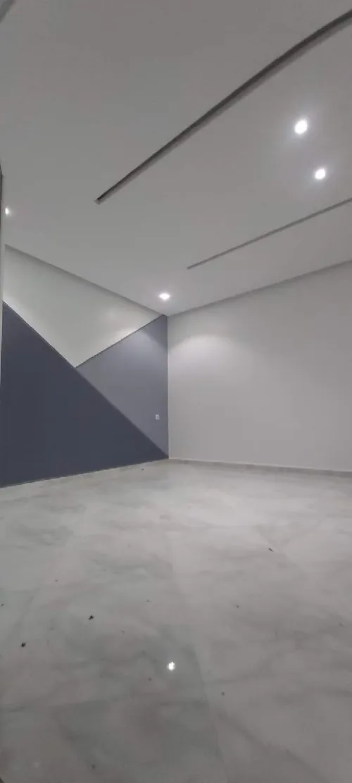 Peintre professionnel