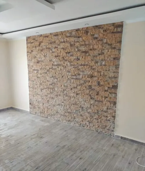 Peintre professionnel