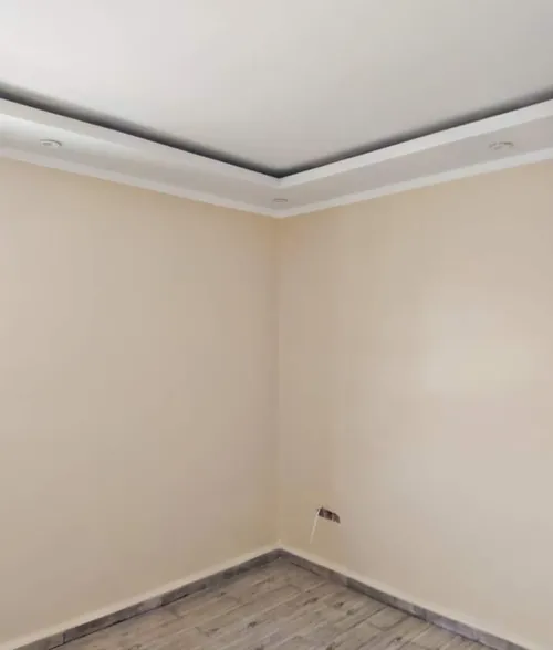 Peintre professionnel