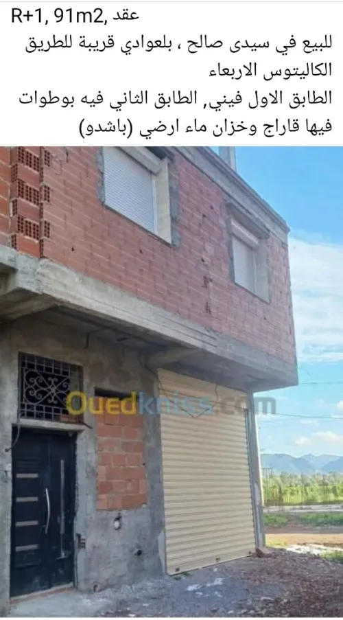 Vente Villa Blida Larbaa