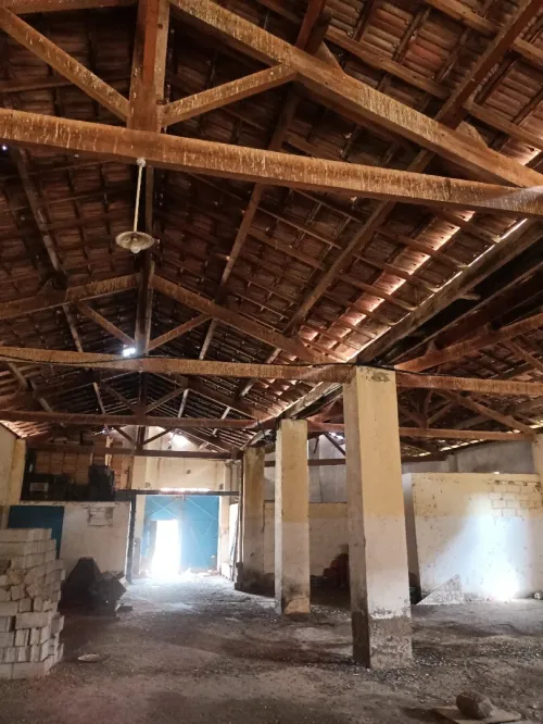 Vente Terrain Tlemcen Ghazaouet
