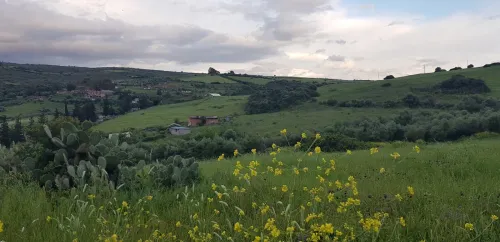 Vente Terrain Skikda El Hadaiek