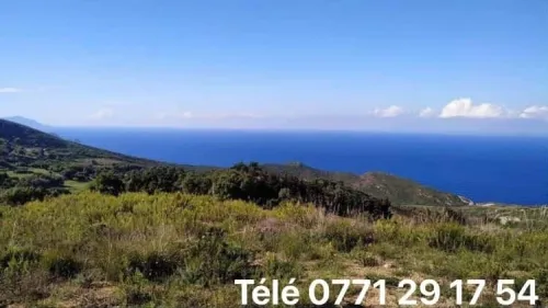 Vente Terrain Annaba Annaba