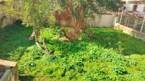 Vente Villa Tipaza Fouka