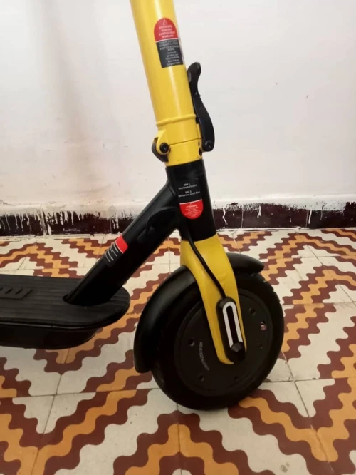 تروتينات مومو دزاين
