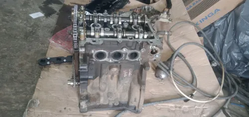 Hydra