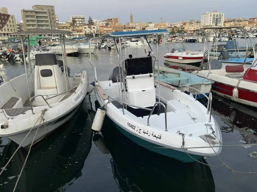 Polyor 550