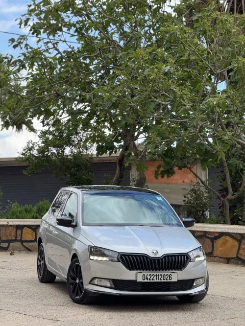 Skoda Fabia 2020 Monte Carlo
