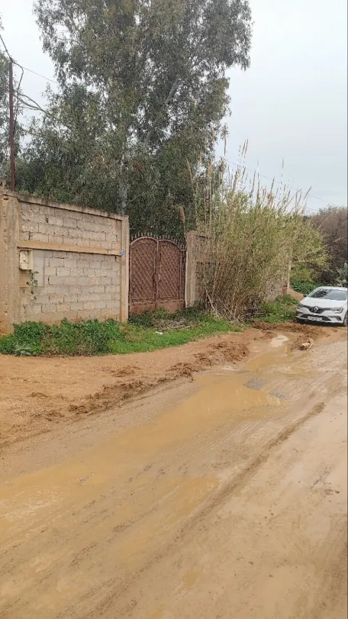 Vente Terrain Boumerdès Zemmouri
