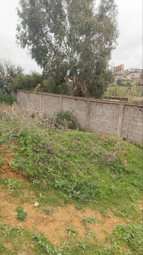 Vente Terrain Boumerdès Zemmouri