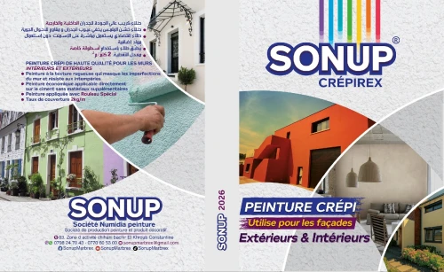 Peinture de décoration enduit marbrex et Criperex