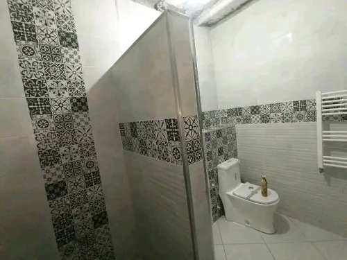 Maçon Professionnelle Carreleur - إختصاص تبليط 