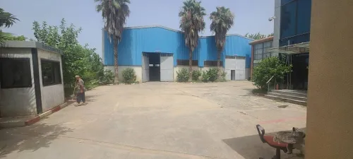 Vente Hangar - Usine Alger Oued smar