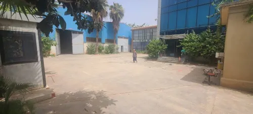 Vente Hangar - Usine Alger Oued smar
