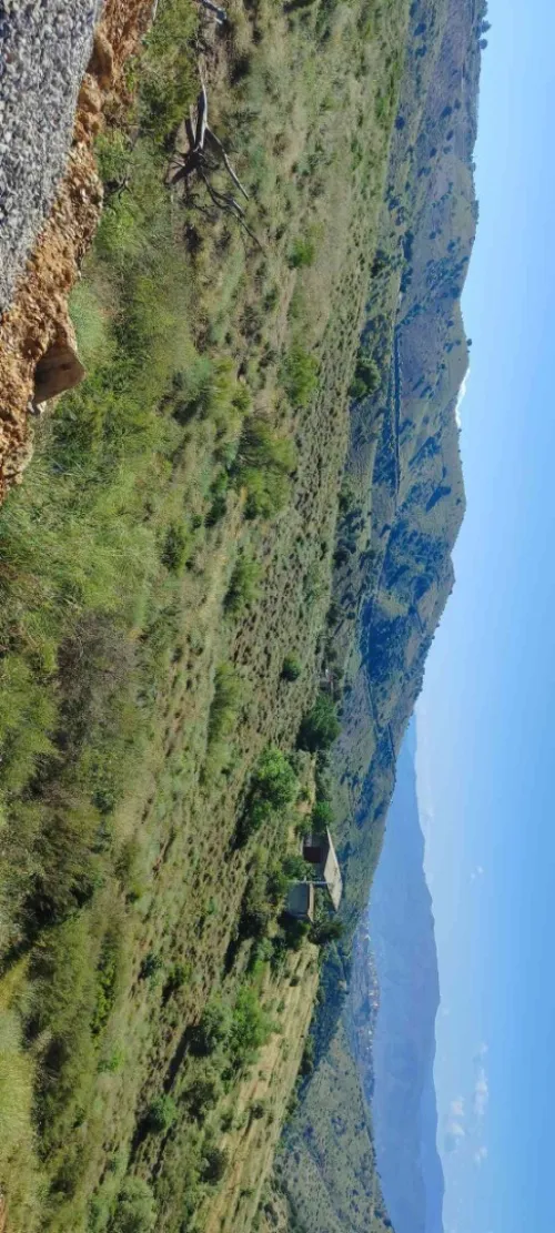Vente Terrain Béjaïa Amalou