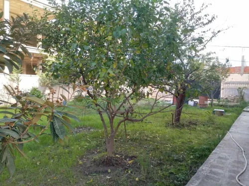 Vente Villa El Tarf Ain el assel