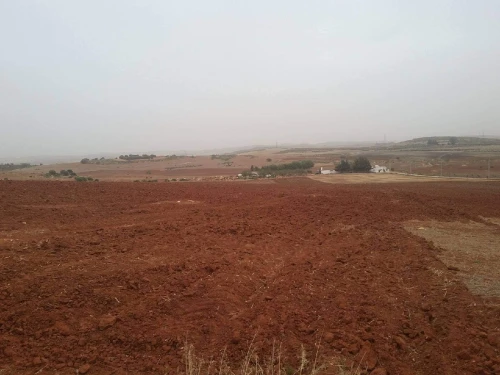Vente Terrain Agricole Sidi Bel Abbès Ben badis